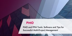 PMO and PPM Tools: Software and Recommendations for Successful Multi-Project Management: TPG blog article