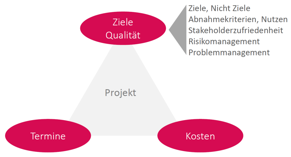 Bestandteile der Performance und Reifegrad im Projektmanagement