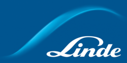 Linde Case Study MS Project Online Project Management
