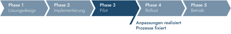 MS Project Server Einführung - Phase 3