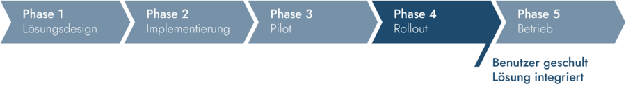 MS Project Server Einführung - Phase 4