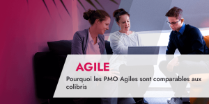 Pourquoi les PMO Agiles sont comparables aux colibris