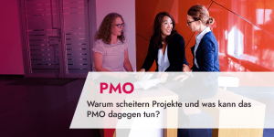 Warum scheitern Projekte