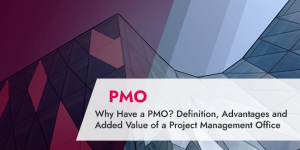 Why Have a PMO_ Definition, Advantages and Added Value of a Project Management Office