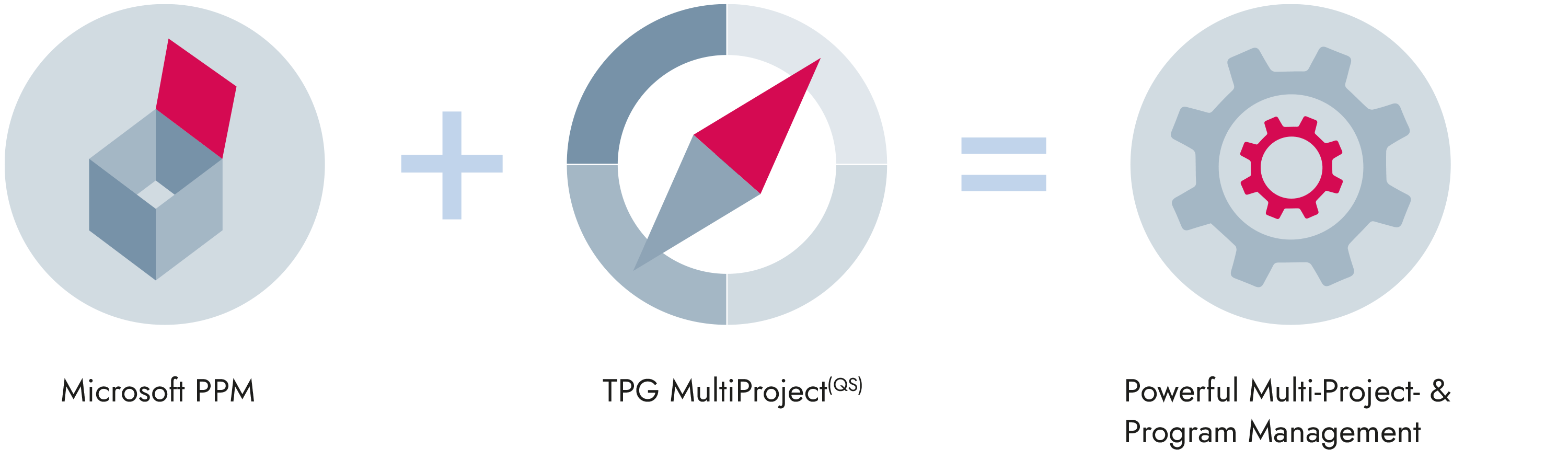 MS Project Program Management Enhancement